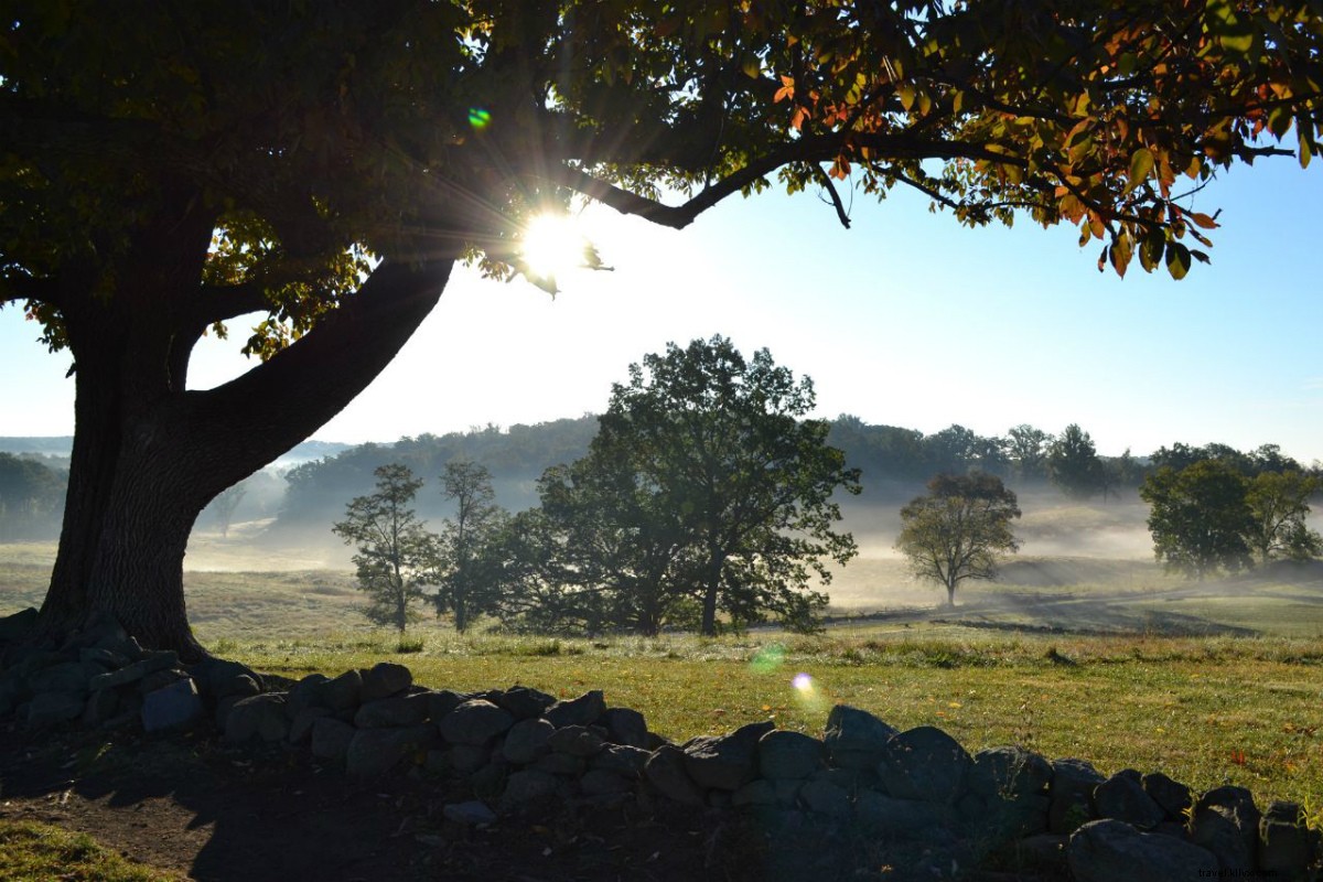 Savoring Craft Beverages: A Tour of Gettysburg s Wineries and Cideries