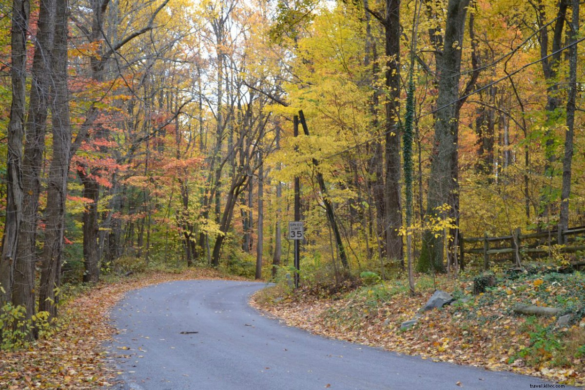Savoring Craft Beverages: A Tour of Gettysburg s Wineries and Cideries