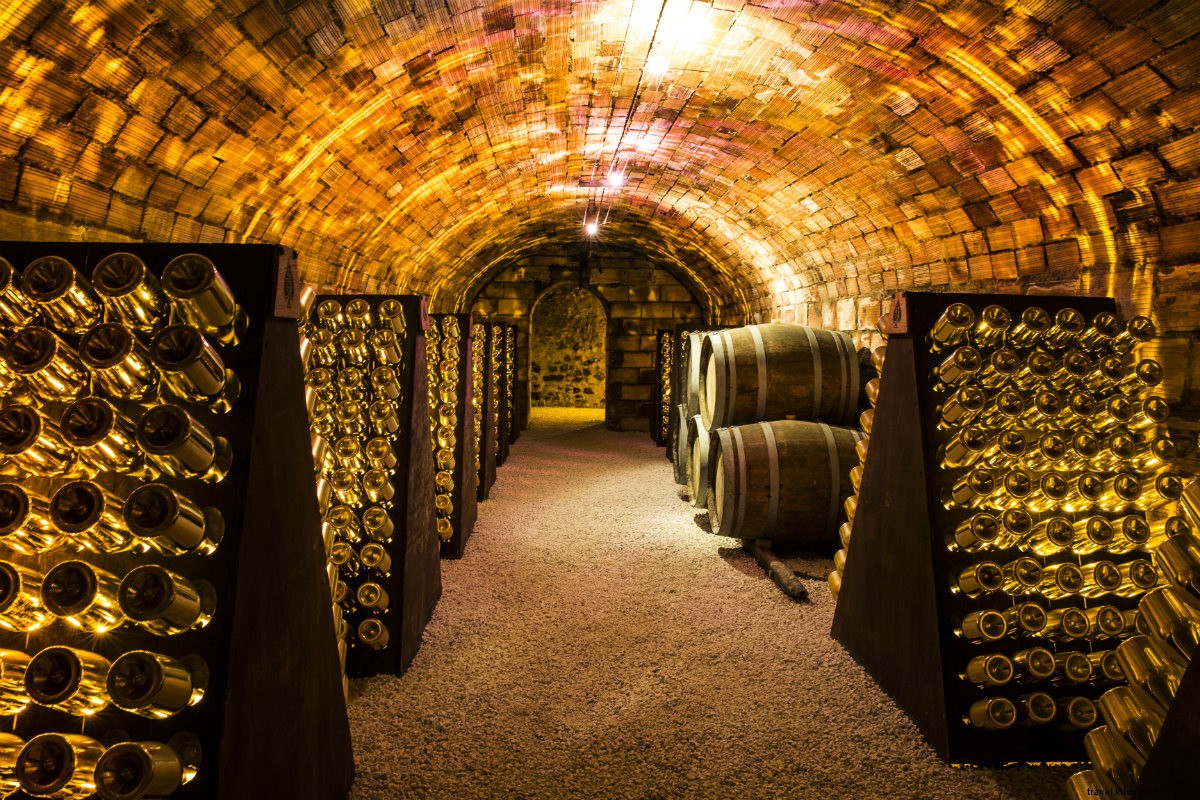 Discover Champagne Like a Winemaker: Insider Tips from Emilien Boutillat