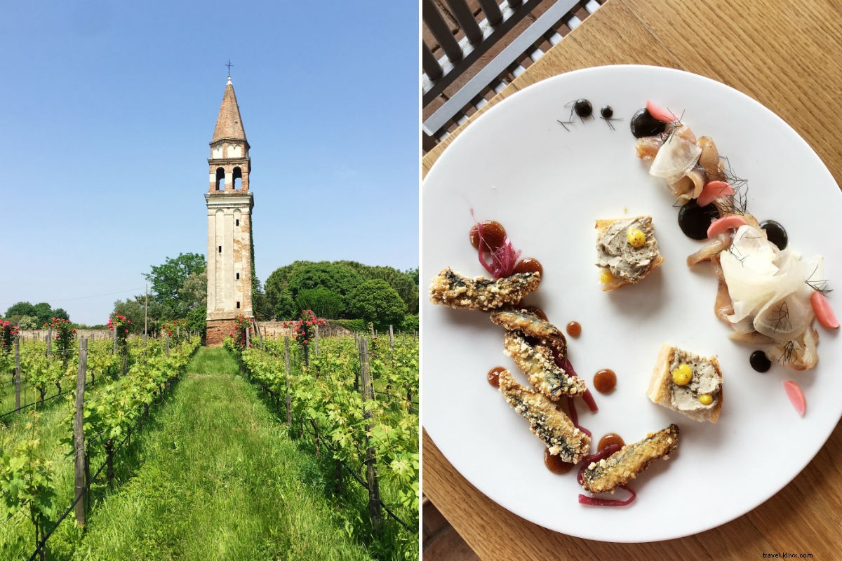 Gourmet Escape: Discover Foodie Havens on Venice s Lagoon Islands