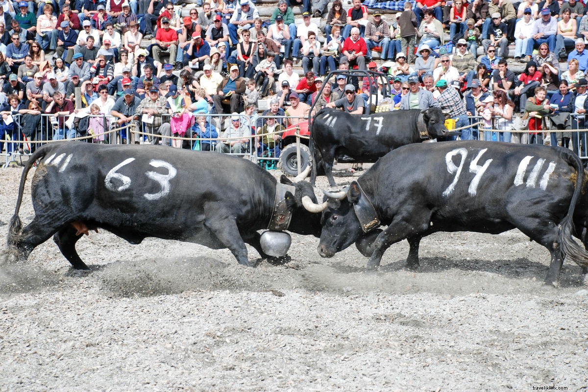 Verbier Off-Season: Ultimate Guide to Alpine Adventures, Dining & Wine in Switzerland