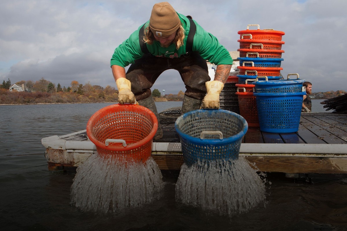 Little Black Book: Insider Tips for Coastal Rhode Island from Ali Rickards