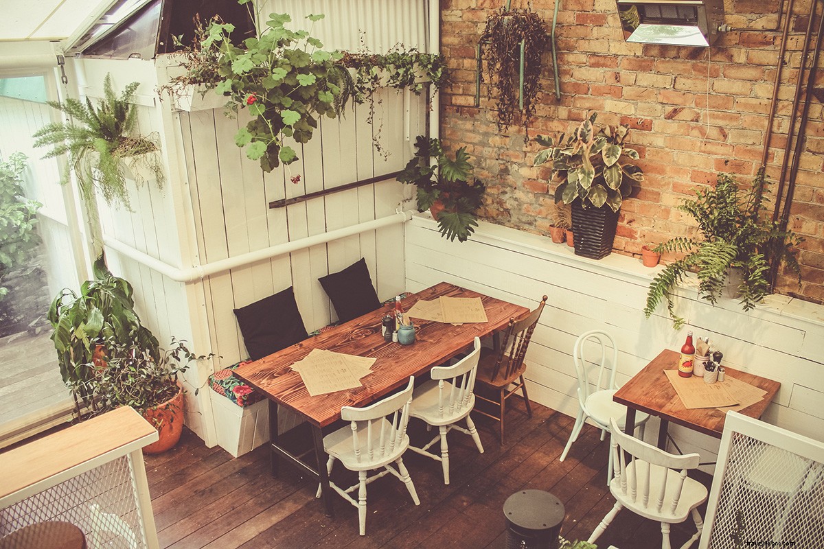 Auckland s Top Eats, Drinks & Shops: Insider Guide by Local Expert