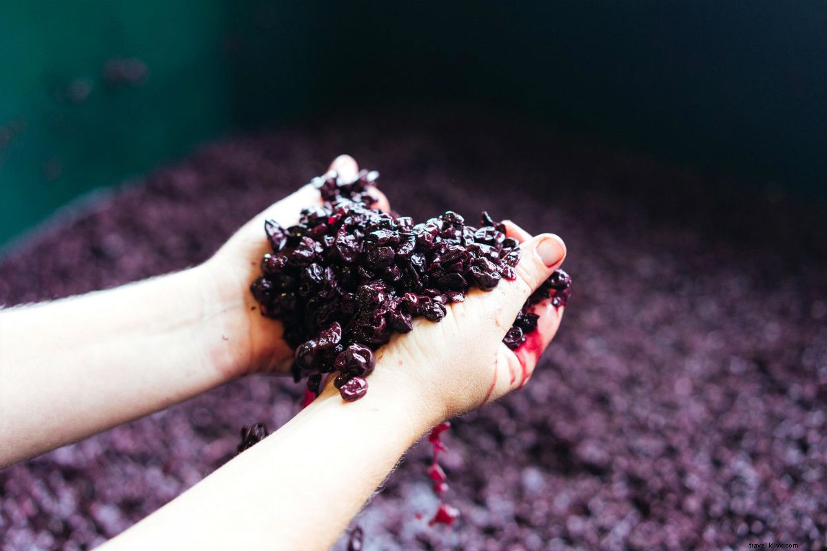 Discover Western Australia s Culinary Gems: Food Adventures on the Other West Coast