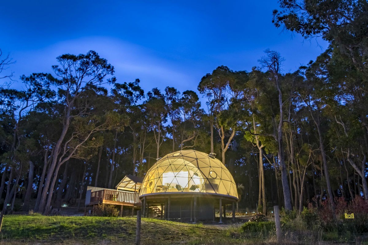 Discover Western Australia s Culinary Gems: Food Adventures on the Other West Coast