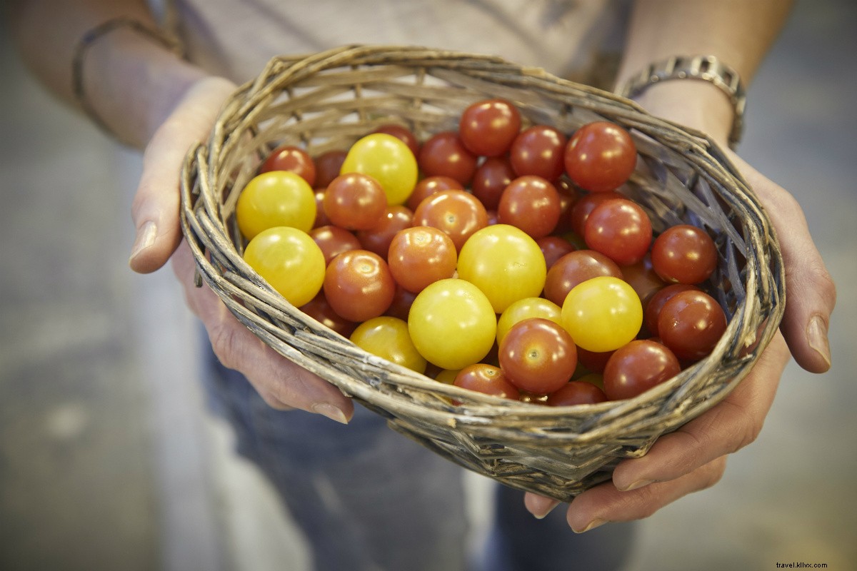 Iceland s Trailblazing Women: Culinary Entrepreneurs Leading Global Gender Equality