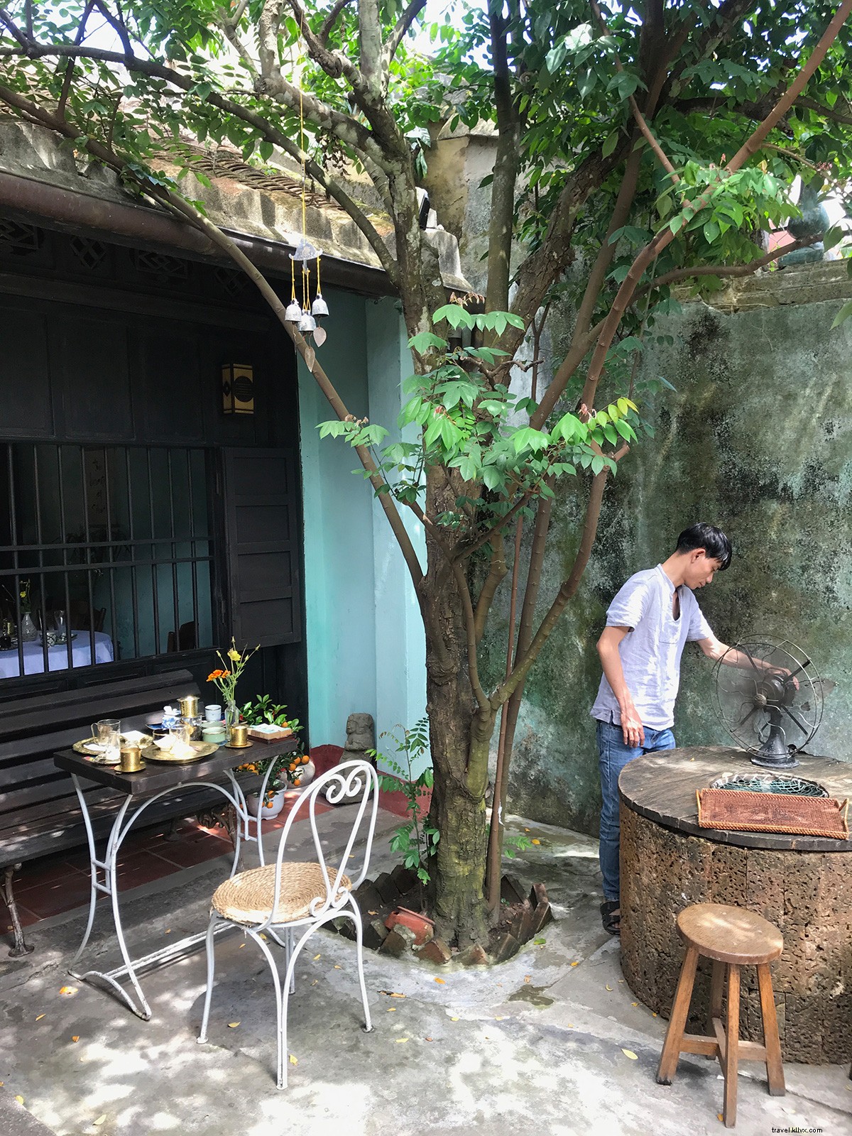 Unwind in Hoi An: Vietnam s Charming Hidden Tea Parlor