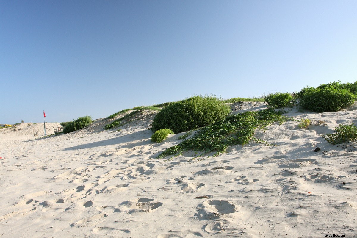 Brownsville, South Texas: A Local s Insider Guide to the Border & Coastal Gem