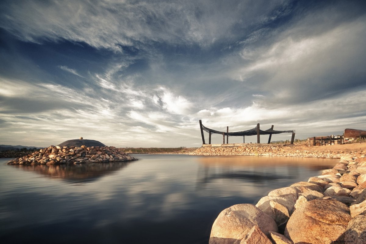 Valle de Guadalupe: Mexico s Emerging Wine Paradise Beyond Tequila