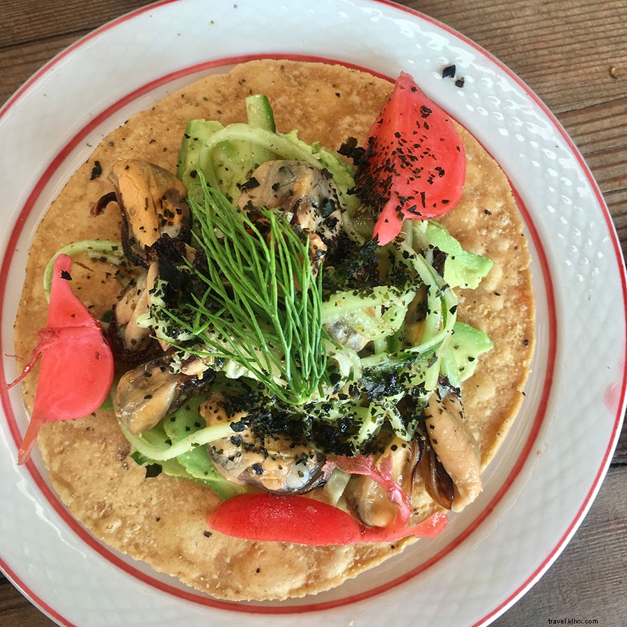 Valle de Guadalupe: Mexico s Emerging Wine Paradise Beyond Tequila