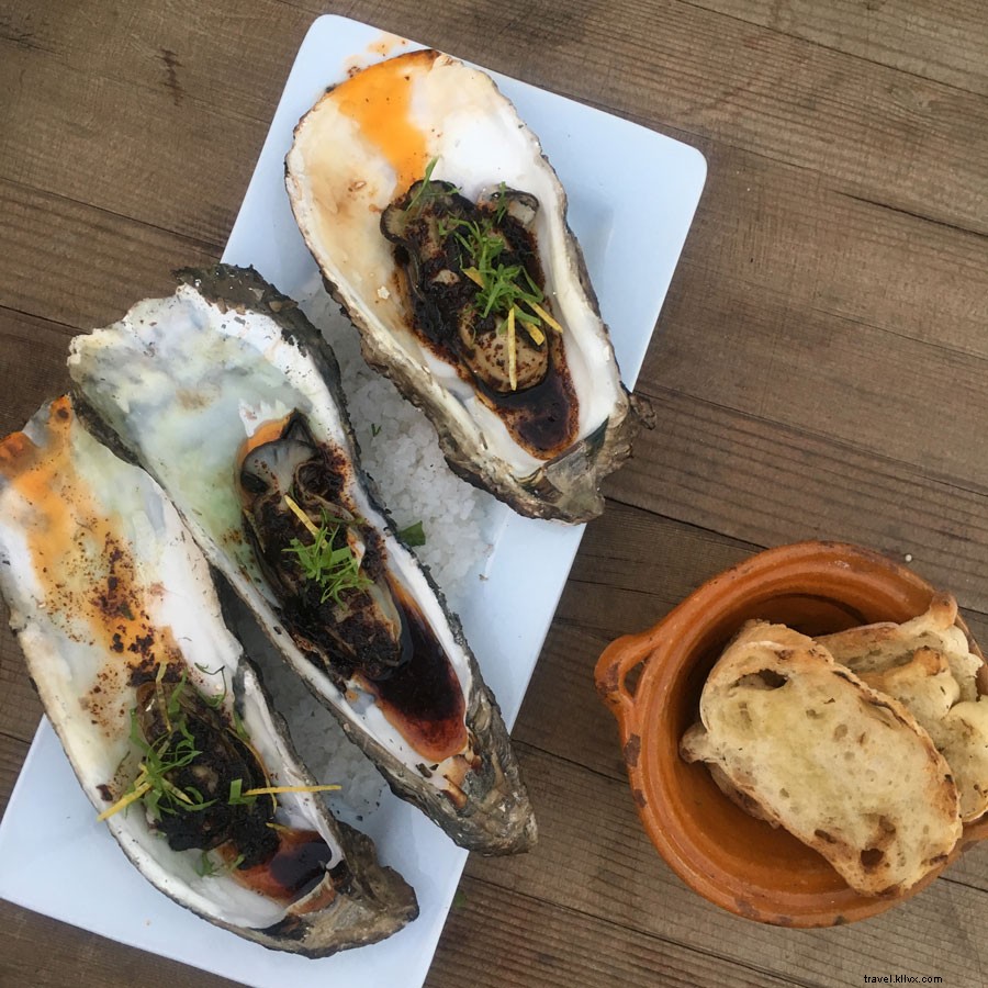 Valle de Guadalupe: Mexico s Emerging Wine Paradise Beyond Tequila