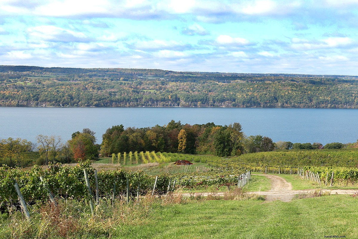 A Sommelier s Guide to the Finger Lakes: Upstate New York s Hidden Wine Gem