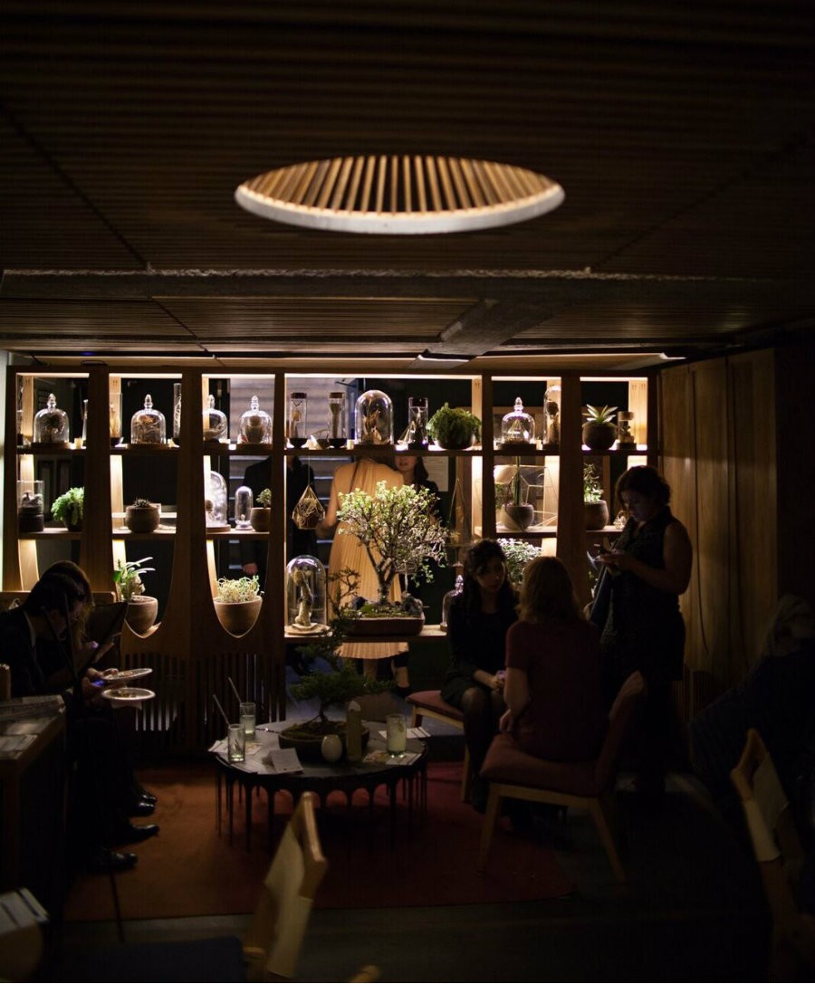 Xaman Bar: Mexico City s Enchanting Shaman Den for Mesmerizing Cocktails