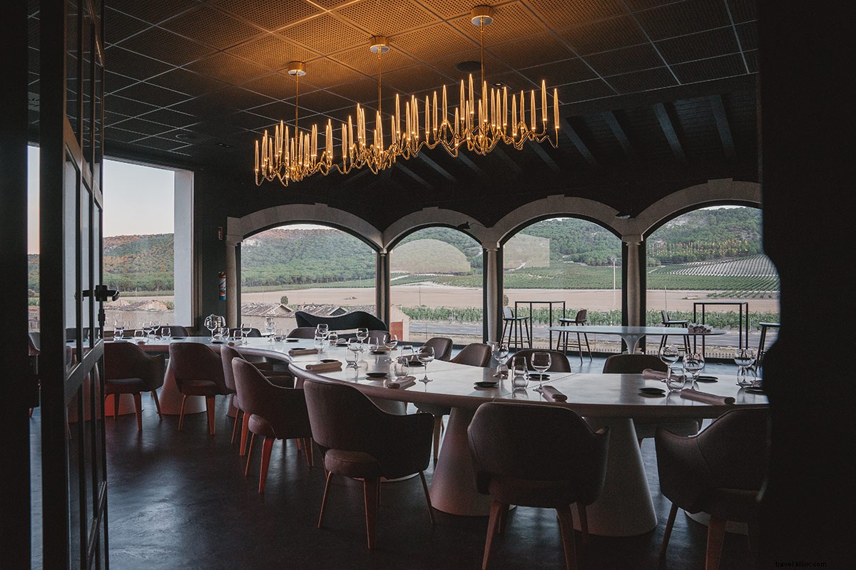 Discover Spain s Hidden Wine Gems: Ribera del Duero & Rueda