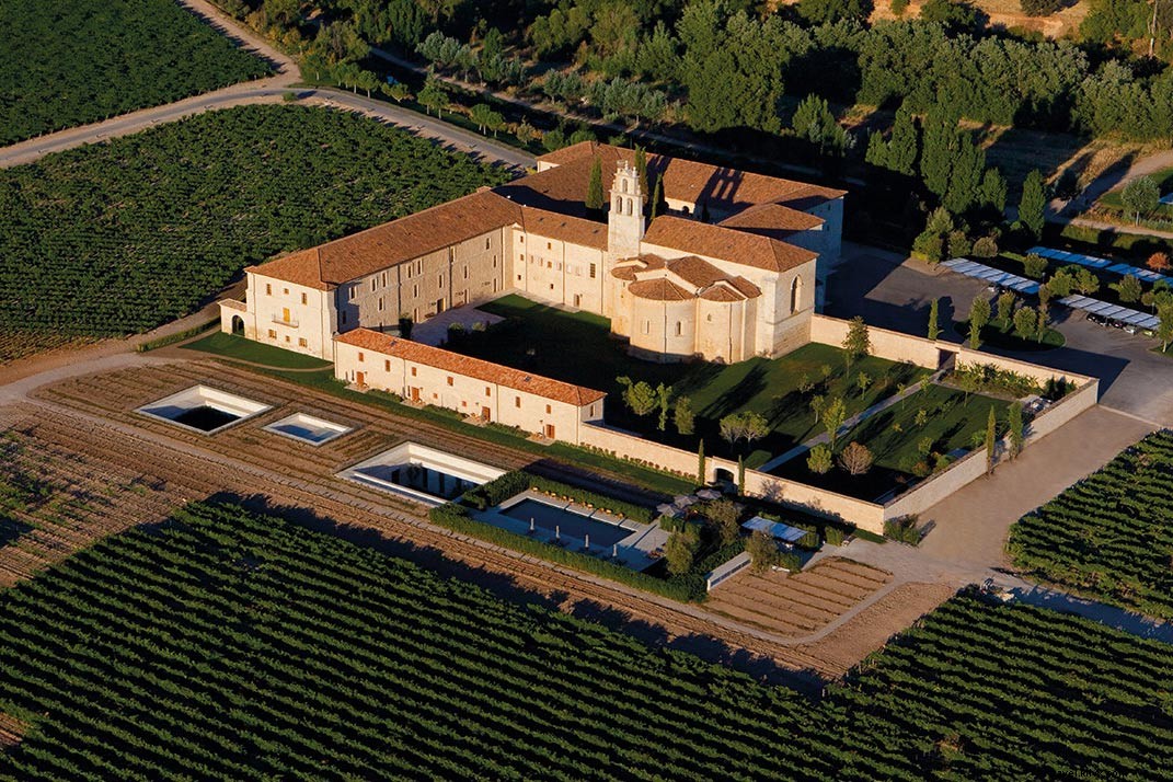 Discover Spain s Hidden Wine Gems: Ribera del Duero & Rueda