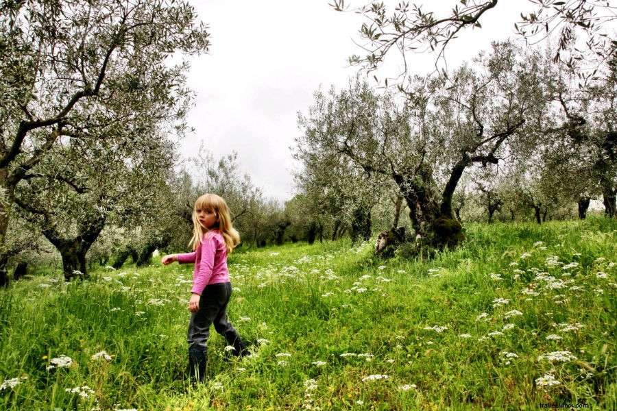 Unveiling Italy s Finest Olive Oil: Nudo Founder Jason Gibb s Epic Quest