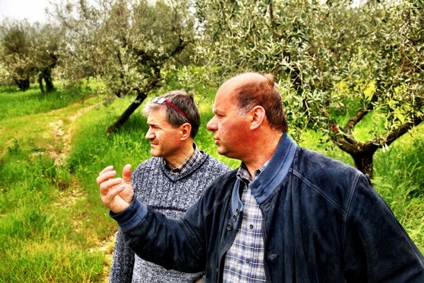 Unveiling Italy s Finest Olive Oil: Nudo Founder Jason Gibb s Epic Quest