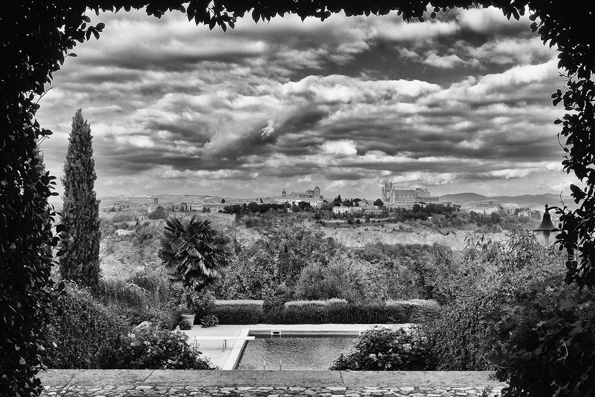 Quest for the World s Finest Extra Virgin Olive Oil: A Day in Umbria