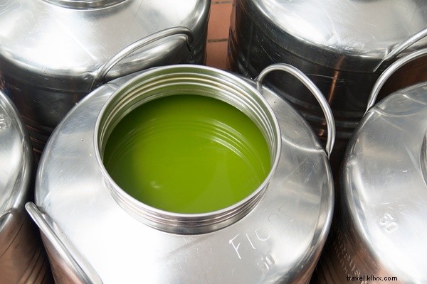 Quest for the World s Finest Extra Virgin Olive Oil: A Day in Umbria