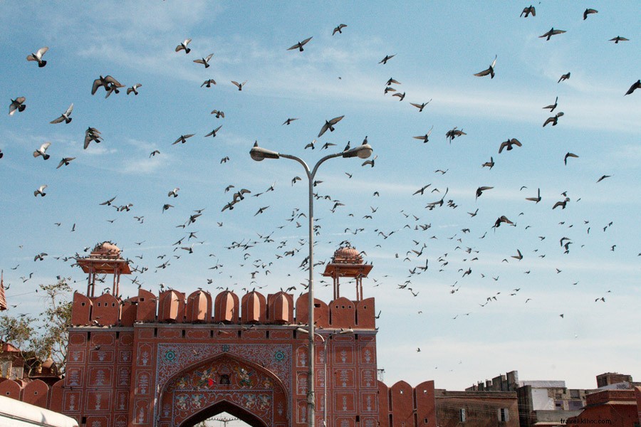 A Chef s Culinary Tour of Jaipur: Michelin-Starred Insights from NYC