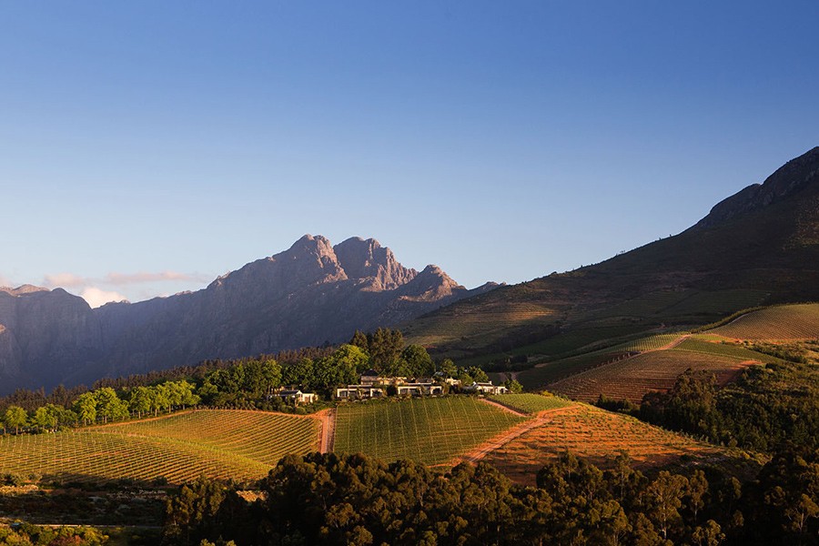 Discover Cape Wine Country: Essential Guide for First-Time Visitors
