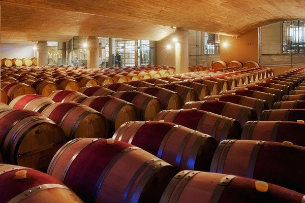 Discover Cape Wine Country: Essential Guide for First-Time Visitors