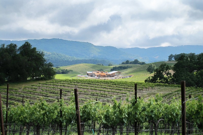 Unwind in Zen Bliss: Paso Robles, California s Serene Central Coast Escape