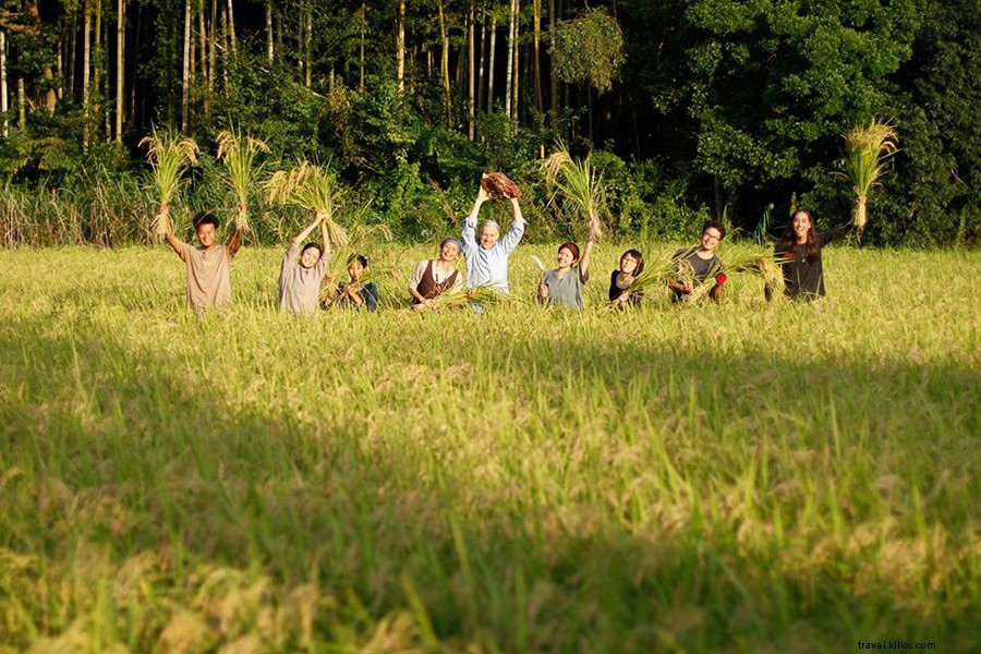 Discover 6 Exceptional Farm Stays – No Overalls Required