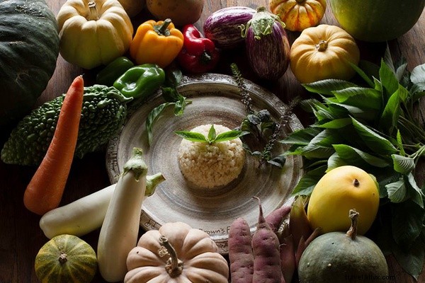 Discover 6 Exceptional Farm Stays – No Overalls Required