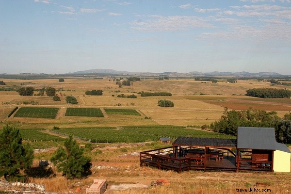Uruguay s Exceptional Wines: A South American Journey Worth the Trip