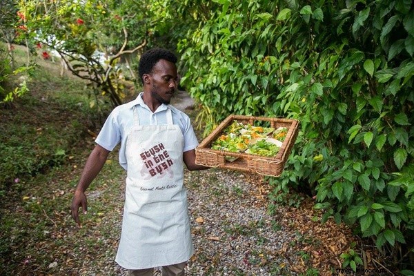 Discover Jamaica s Culinary Secrets: Ultimate Food Tour with Music Legend Chris Blackwell