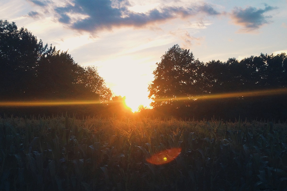 From Fork to Farm: A Road Trip Exploring New England s Thriving Farm-to-Table Scene