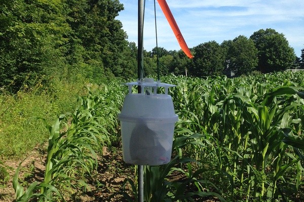 From Fork to Farm: A Road Trip Exploring New England s Thriving Farm-to-Table Scene