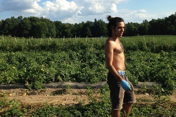 From Fork to Farm: A Road Trip Exploring New England s Thriving Farm-to-Table Scene