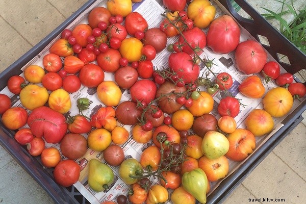 From Fork to Farm: A Road Trip Exploring New England s Thriving Farm-to-Table Scene