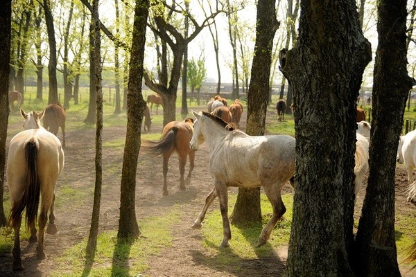 Behind the Lens: Anna Petrow, Fathom s 24 Best Travel Photographer