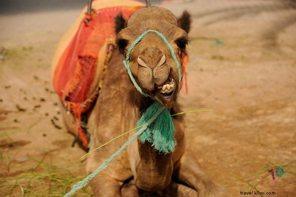 Behind the Lens: Anna Petrow, Fathom s 24 Best Travel Photographer