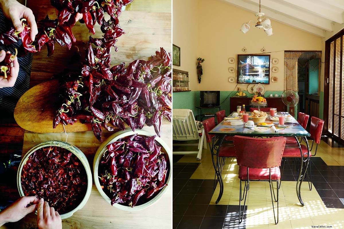 Chefs  Travels: New Cookbooks, Recipes & Global Journeys to Fuel Your Wanderlust