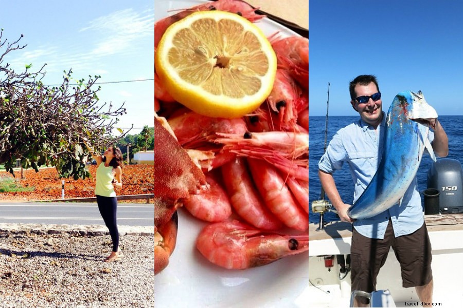 Chefs  Travels: New Cookbooks, Recipes & Global Journeys to Fuel Your Wanderlust