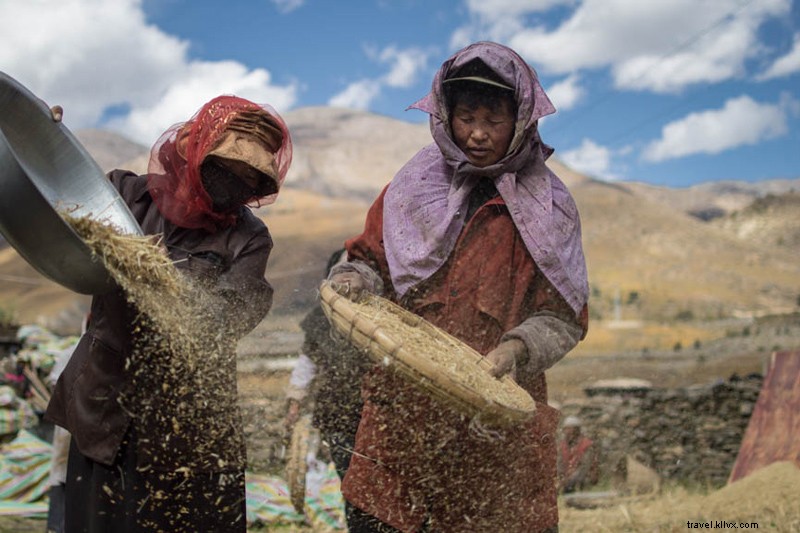 Unexpected Lunch in a Tibetan Castle: A Serendipitous Adventure for Two Travelers
