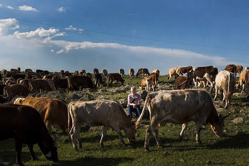 Meet Robyn Eckhardt: Acclaimed Food & Travel Journalist from Penang
