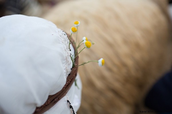 Van, Turkey s Dedicated Milkmaids: Milking Sheep & Goats for Traditional Cheese