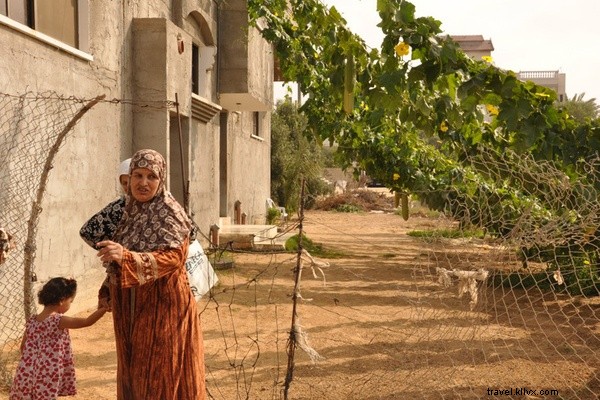Culinary Anthropology in Gaza: Insights from  The Gaza Kitchen  Authors