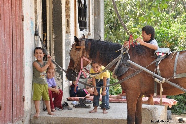 Culinary Anthropology in Gaza: Insights from  The Gaza Kitchen  Authors