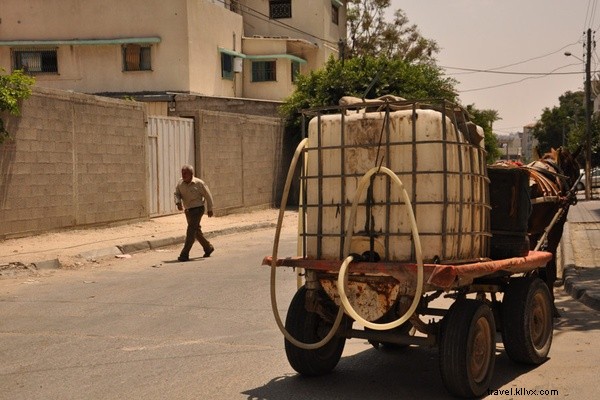 Culinary Anthropology in Gaza: Insights from  The Gaza Kitchen  Authors