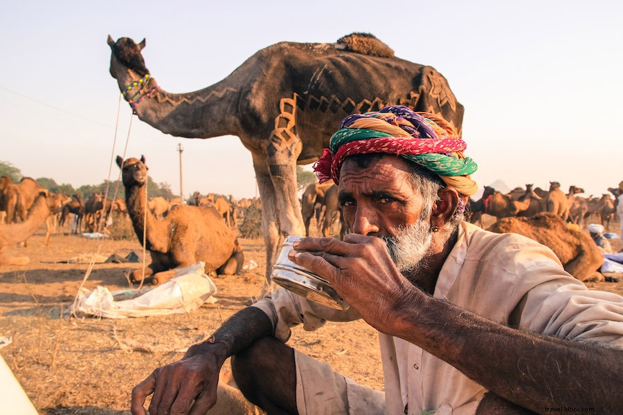 Authentic Camel Milk Chai in Pushkar: A Rajasthan Tradition