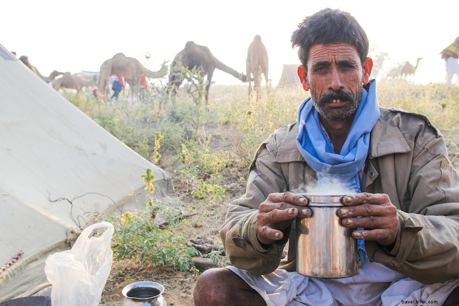 Authentic Camel Milk Chai in Pushkar: A Rajasthan Tradition