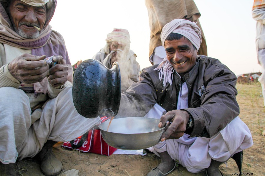 Authentic Camel Milk Chai in Pushkar: A Rajasthan Tradition