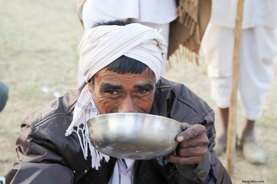 Authentic Camel Milk Chai in Pushkar: A Rajasthan Tradition