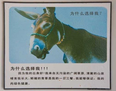 I ll Have the Donkey Sandwich, Please: A Culinary Adventure in Beijing